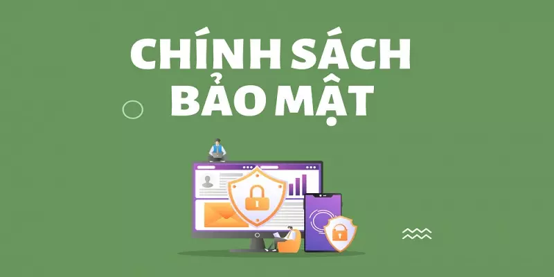 Quy định chi tiết về quyền sở hữu trong chính sách bảo mật KO66