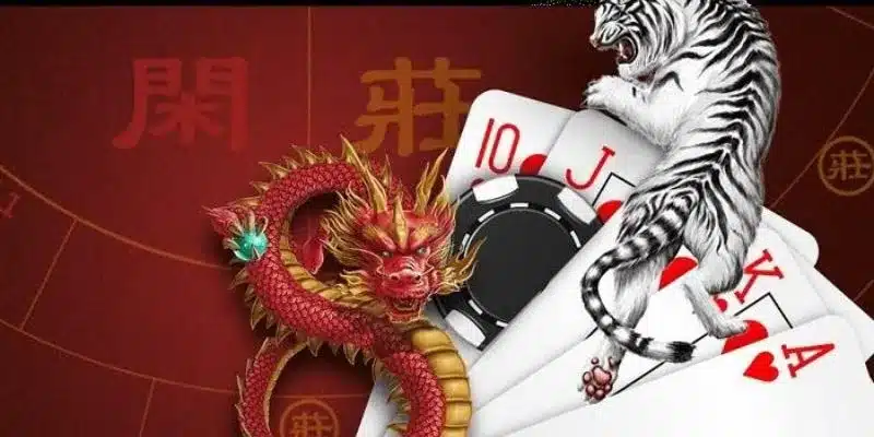 Quy tắc chơi Rồng Hổ cơ bản dành cho các newbie