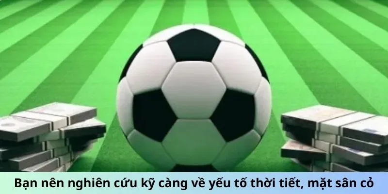 Bạn nên nghiên cứu kỹ càng về yếu tố thời tiết, mặt sân cỏ
