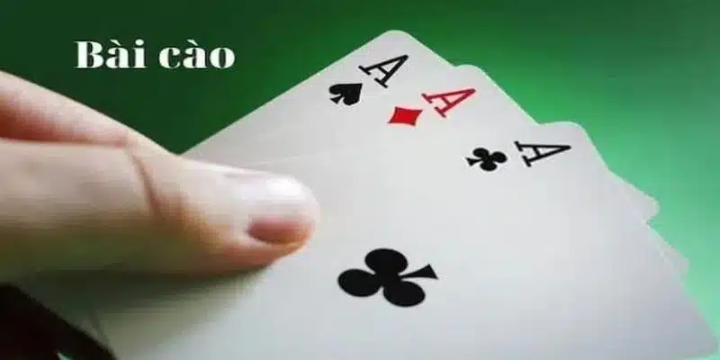 Luật và cách chơi 1 ván bài Cào Tố KO66?