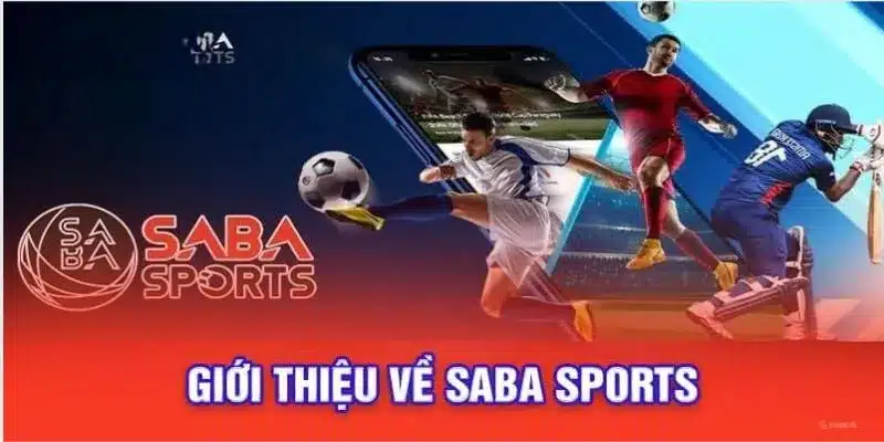 Thông tin sơ lược về sảnh cược Sports hàng đầu hiện nay